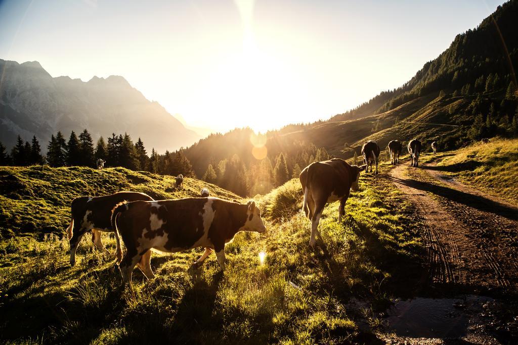 Alpin Lodge Leogang By Alpin Rentals Buitenkant foto